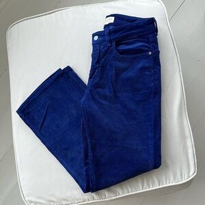 Blue Pilcro Corduroy Straight Leg  Pants